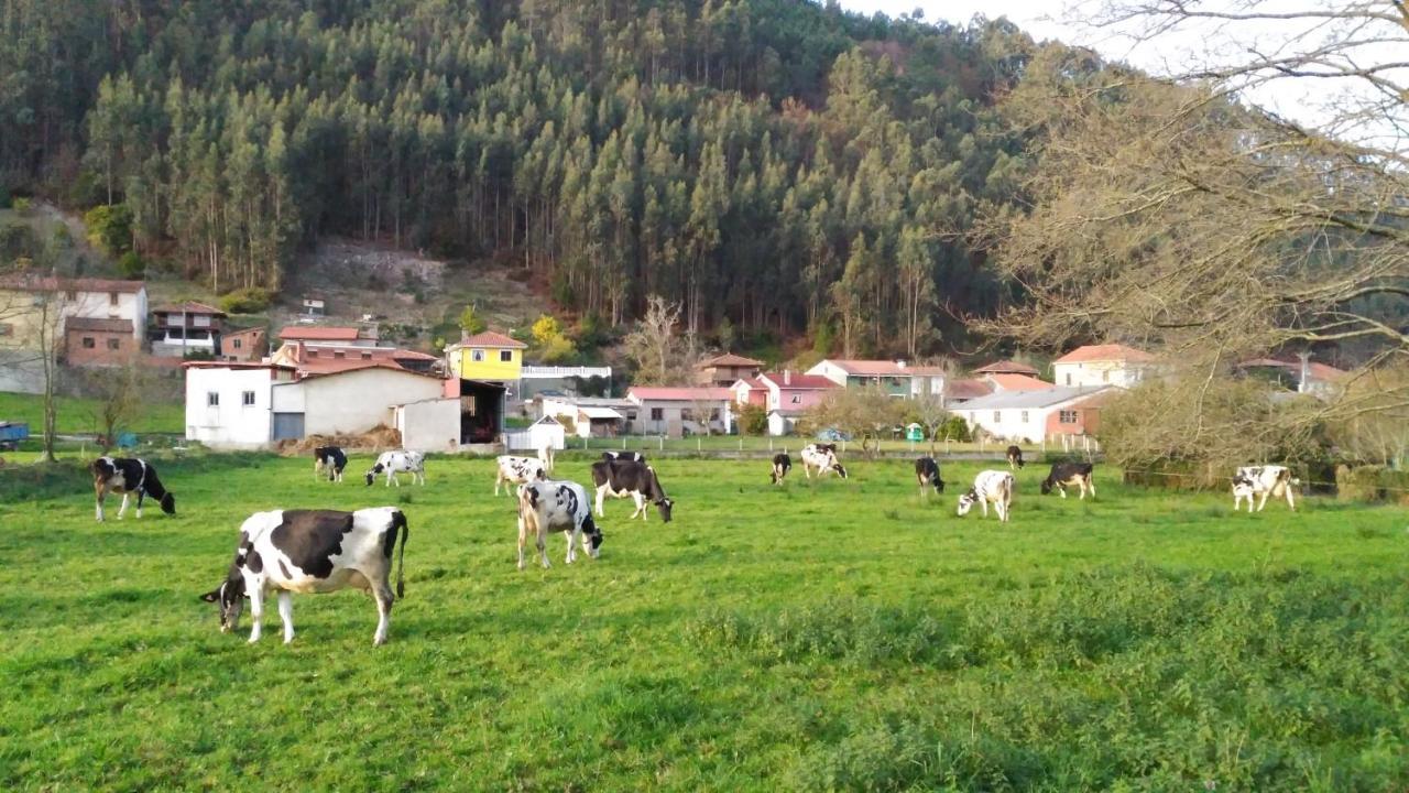Hotel Casa Vieja Del Sastre Soto de Luiña Zewnętrze zdjęcie